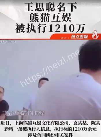 被执行1210万