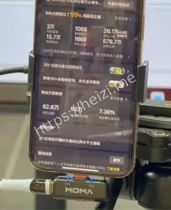 坑粉