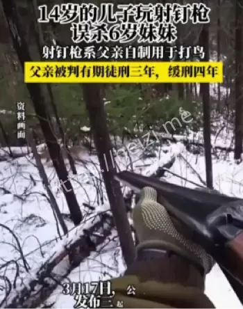 违法行为