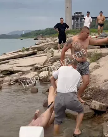 网络热议