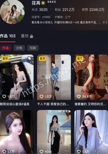 荏苒