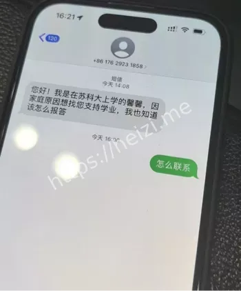 反差婊