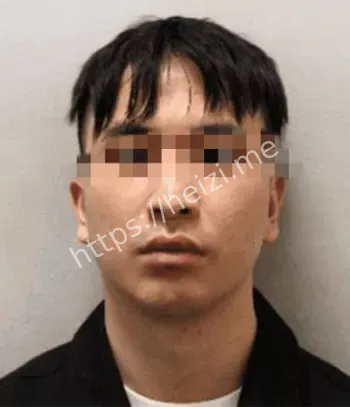 连环性侵案