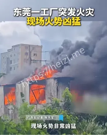 大岭山