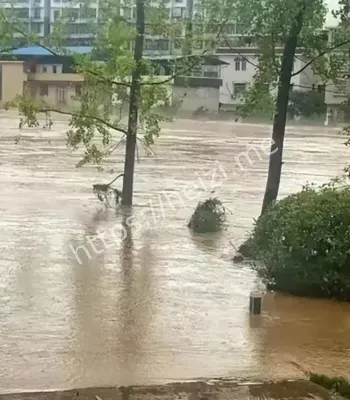 车库被淹