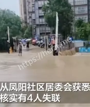 车主挪车