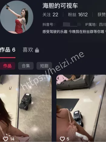 海胆的越野车