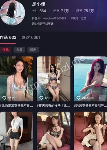 是小佳翻车