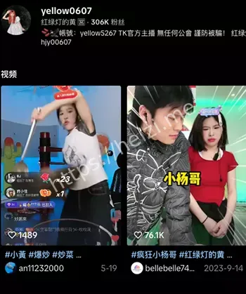 带货丑闻