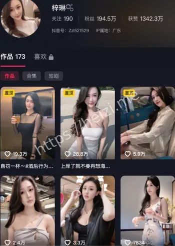 梓琳