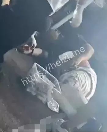 惨不忍睹