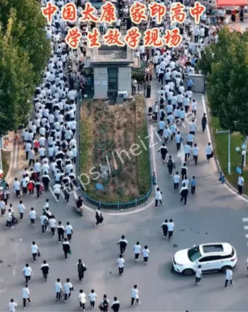释师案