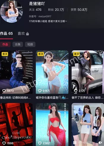 是猪猪吖