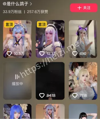 是什么鸽子