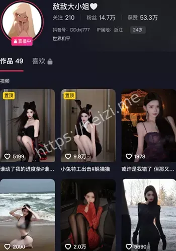 敌敌大小姐