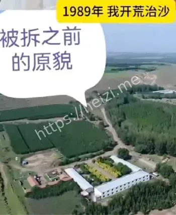 强拆毁林
