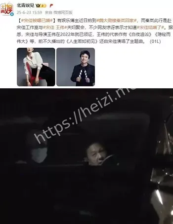 宋佳隐婚