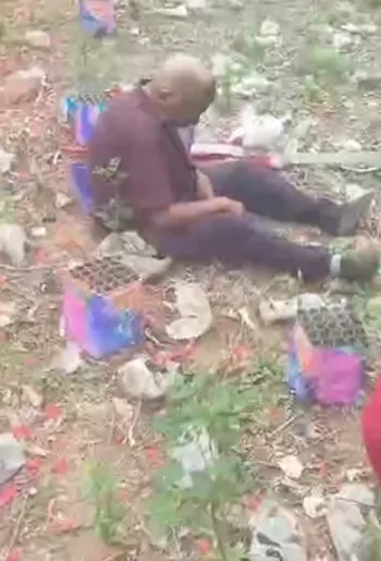 鲁大爷