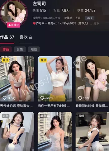 左司司