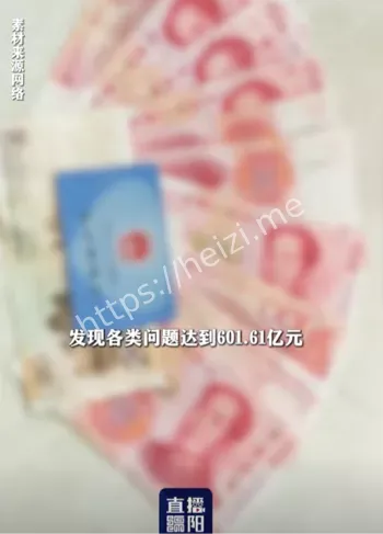 审计署曝光