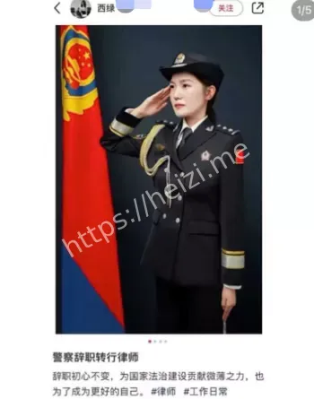 假律师
