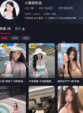 小香菜的岛