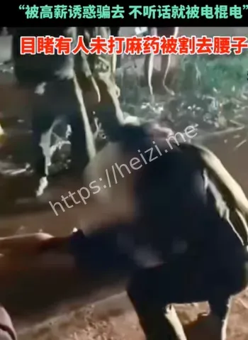 团伙
