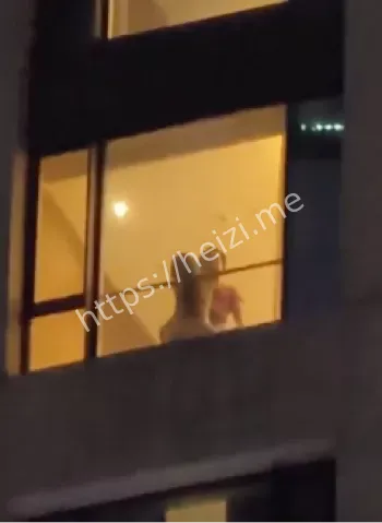 双排