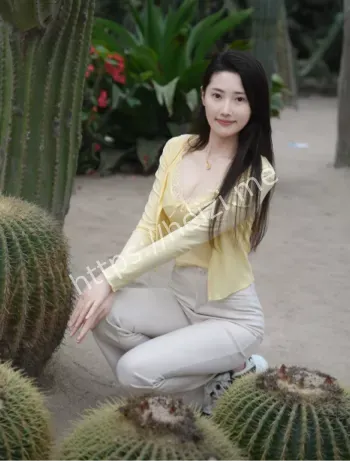 蝶蝶姐姐