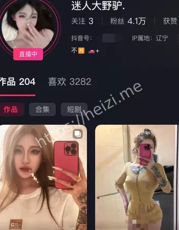 迷人大野驴