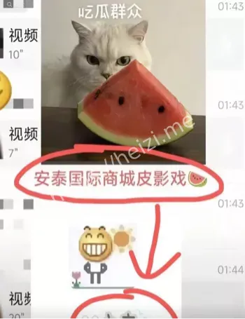 安泰国际