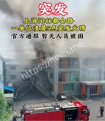 5000平烧光