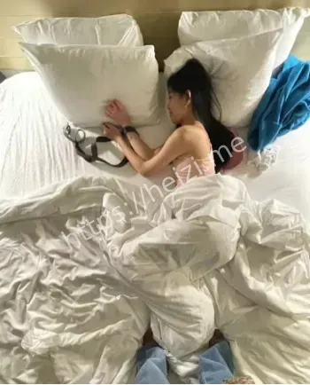 纤维粒
