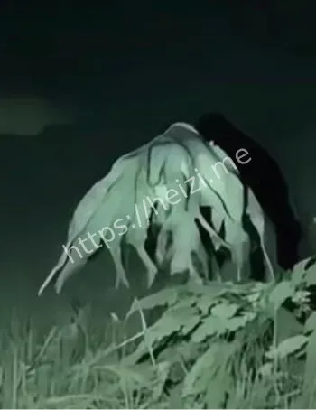 怪物事件