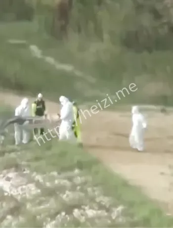 现场照片