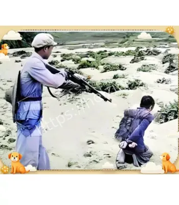 神秘组织