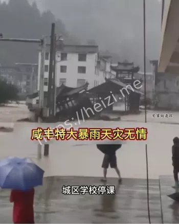 网络热议