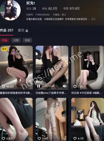 尼兔