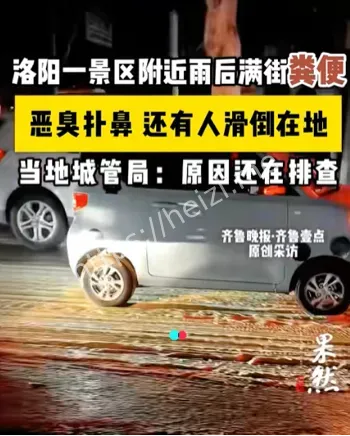 飞翔之路
