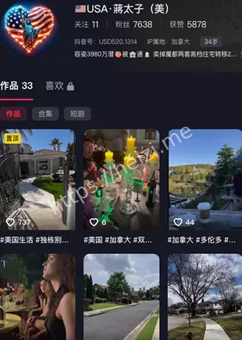 抖音将太子