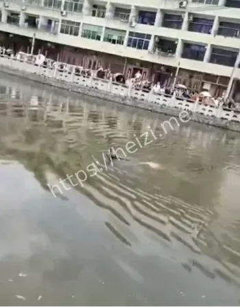 壹加壹救援
