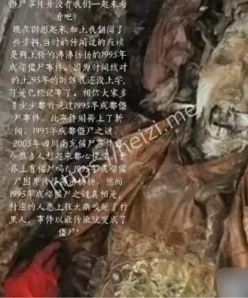 成都僵尸