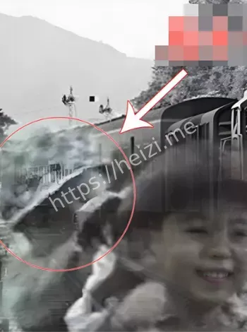 黑子网热议