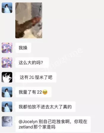 重口味