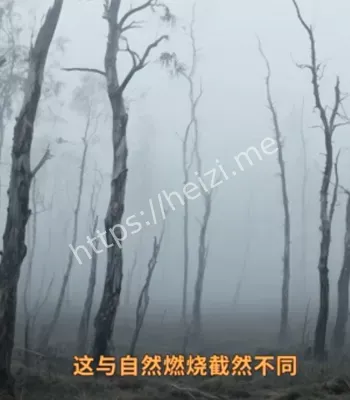 大爆炸