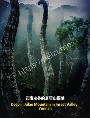 云南死亡谷