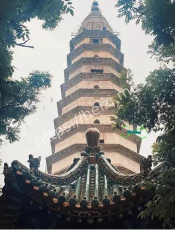 每日半小时