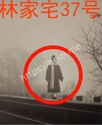 林家宅37号
