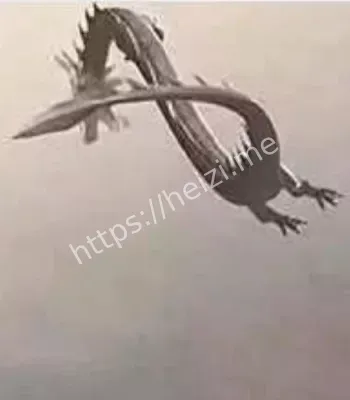 黑子网爆料