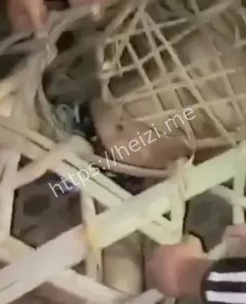 务工
